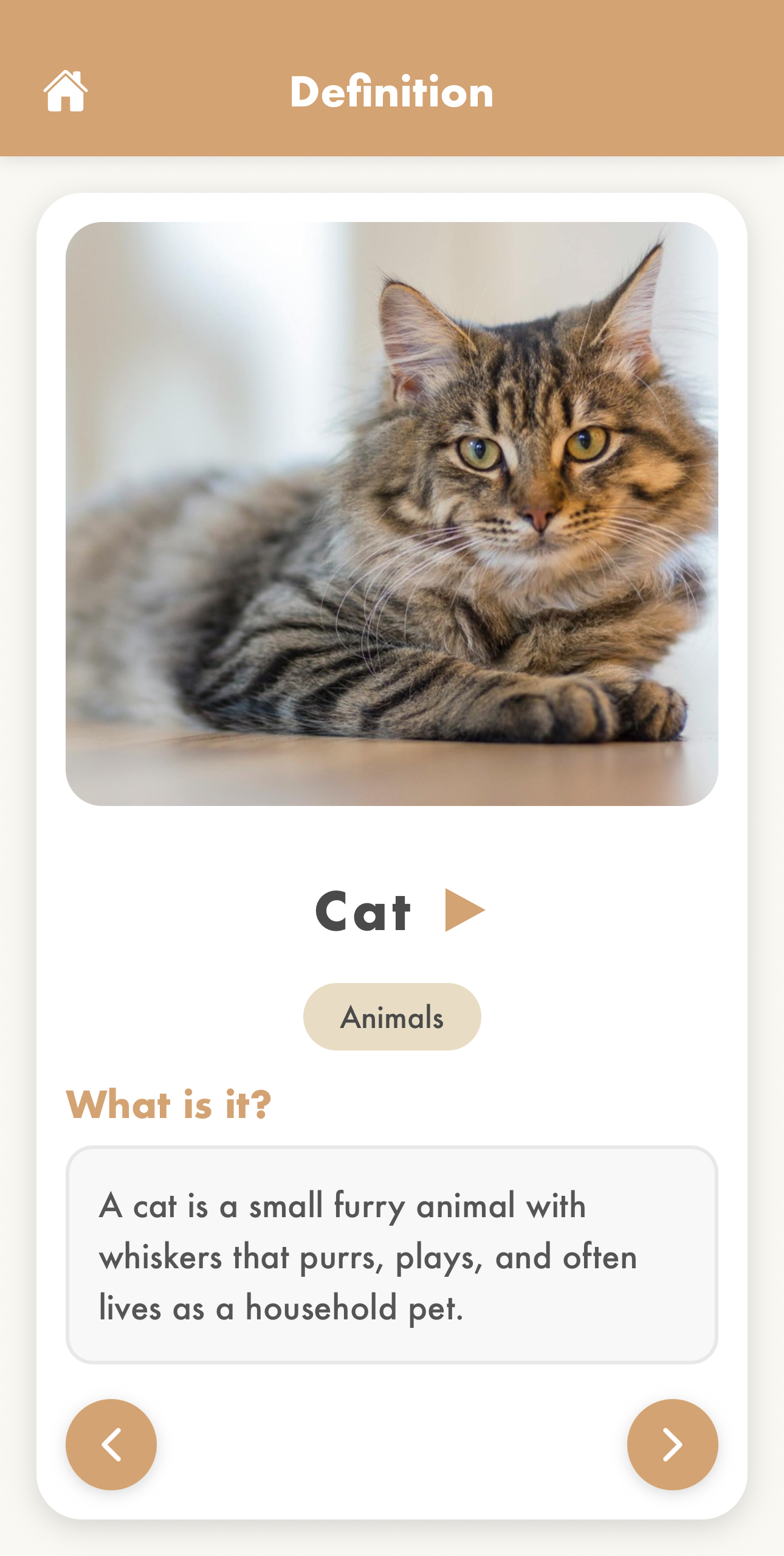 Kids Dictionary App Screenshot